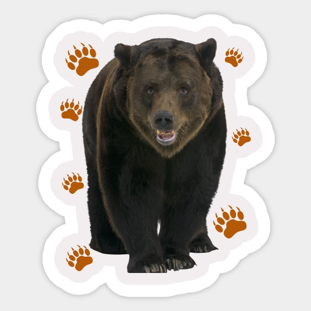 Big Ben, the big brown bear Sticker by Rc tees